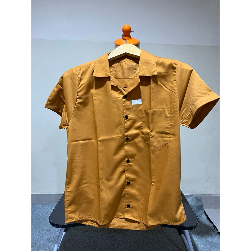 Kemeja mustard
