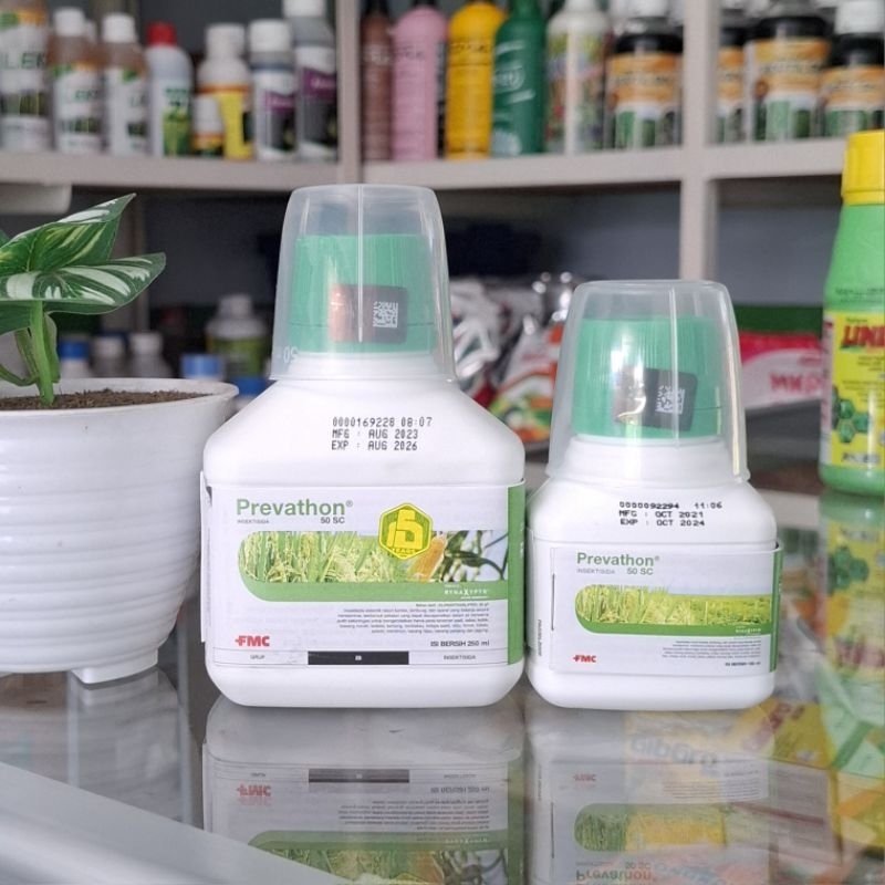 Insektisida obat ulat uler sundep prevathon prevaton pefaton
