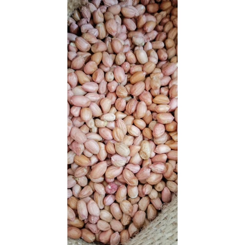 

KACANG TANAH SUPER 1KG