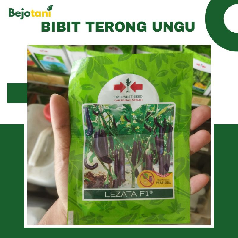 Benih Bibit Terong Ungu Lezata F1