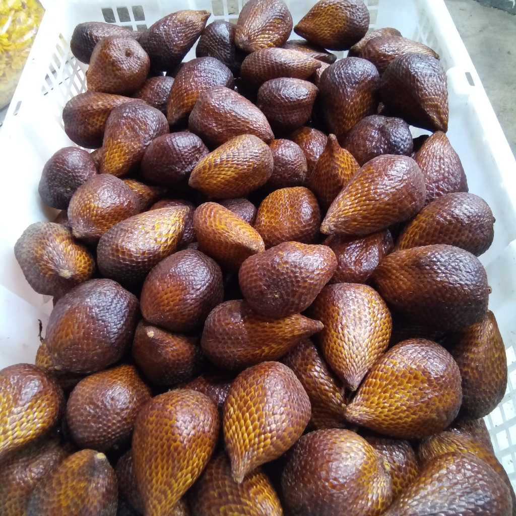 

salak pondoh 1 keranjang murah