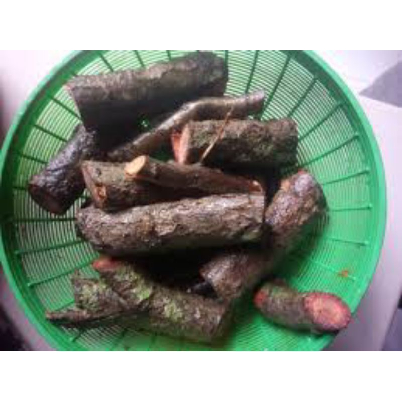 

akar pohon randu segar asli herbal alami 1kg untuk diabetes