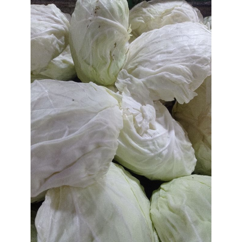 

kol/kubis muda 1kg