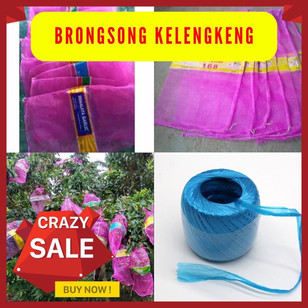 TERLARIS.! ISI 10 Brongsong klengkeng + Tali
