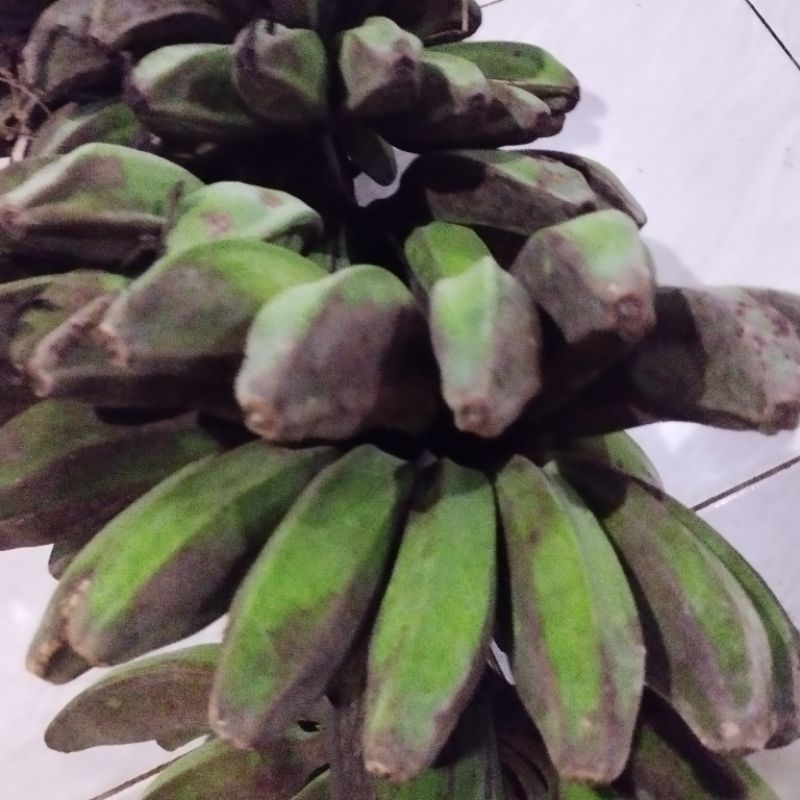 

Pisang Pipit 1 kg