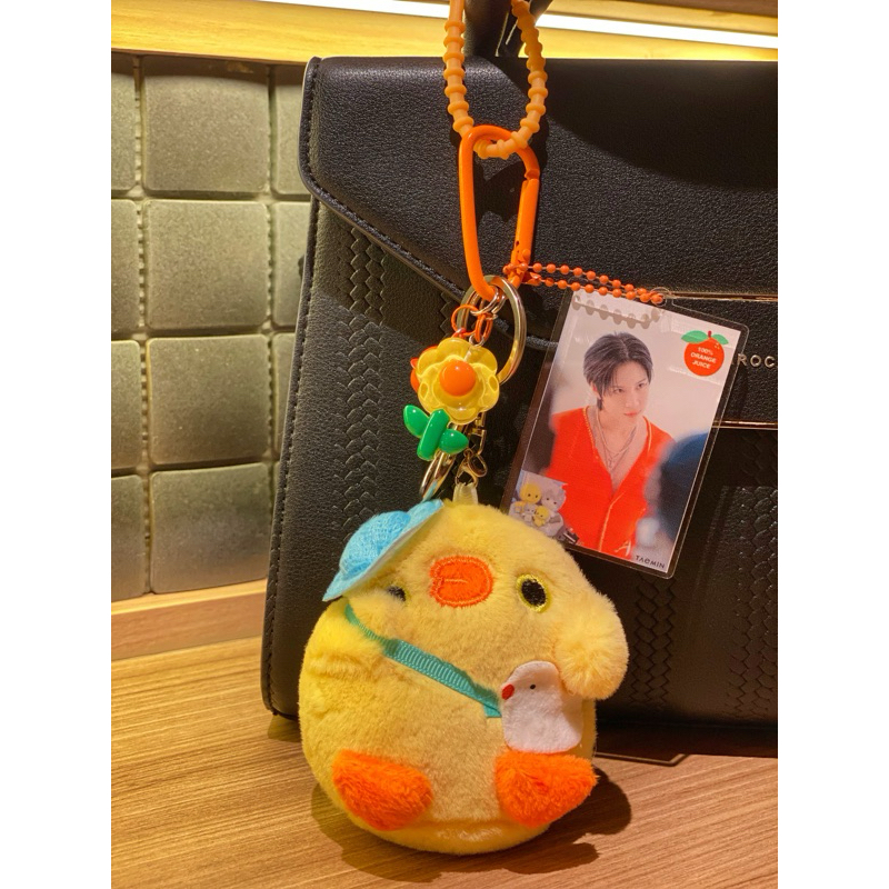 Gantungan Tas/Bag Charm Keychain Kpop - Taemin Shinee