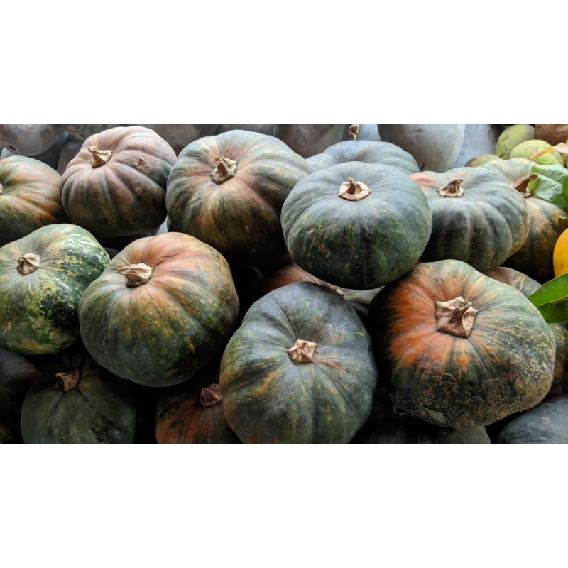 

labu parang harga 3kg 50,000 isi (2 s/d 3 buah)