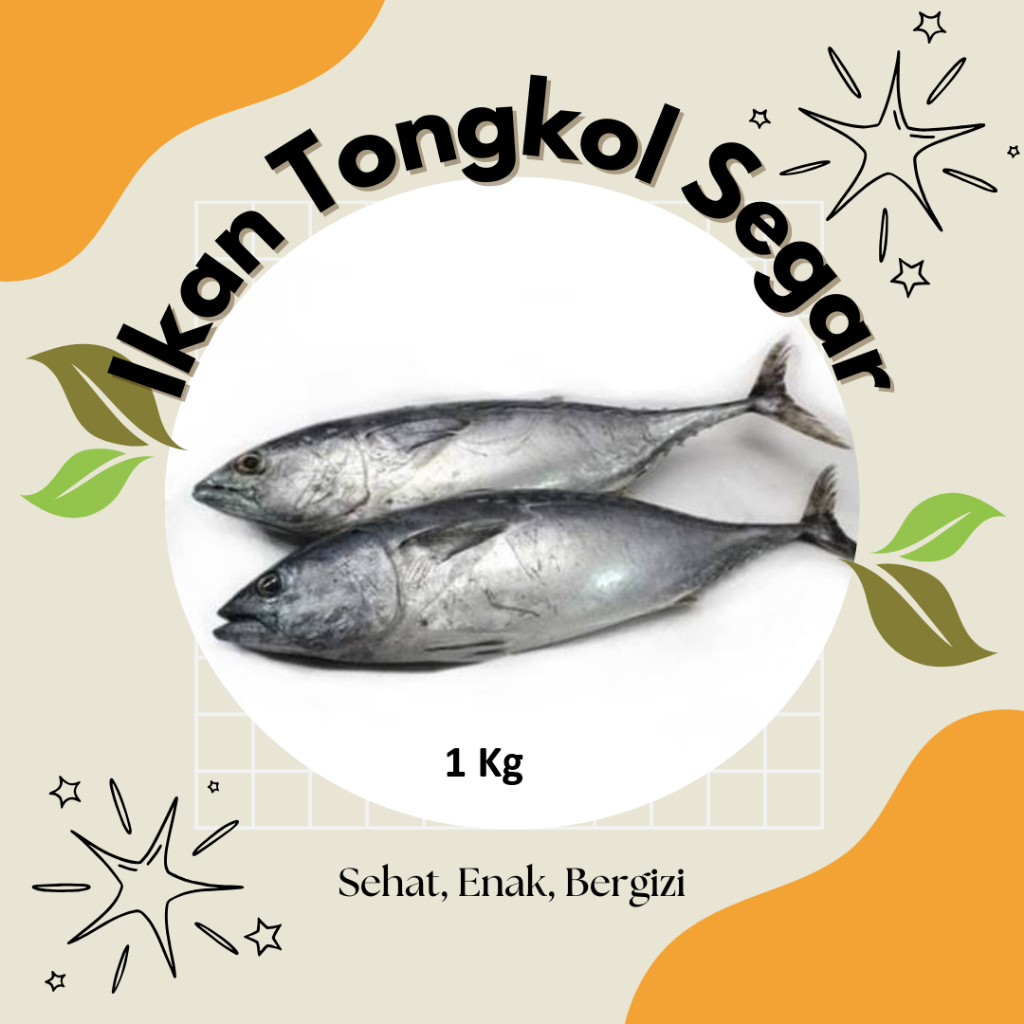 

Ikan Tongkol 1Kg Segar Premium, Harga Terjangkau