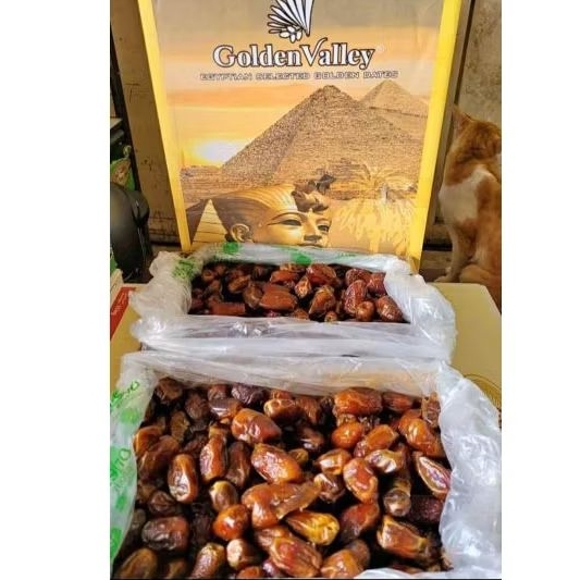 

Kurma Golden Valley 10kg