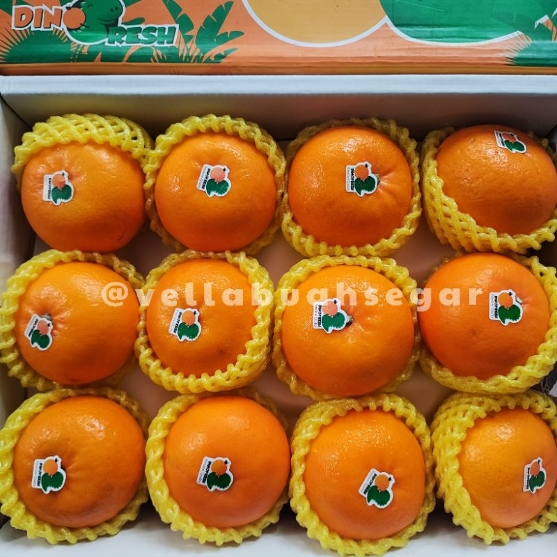 

[BEST SELLER INSTAN/SAMEDAY] Jeruk Wogan Mandarin DINO Manis Segar Banyak Air