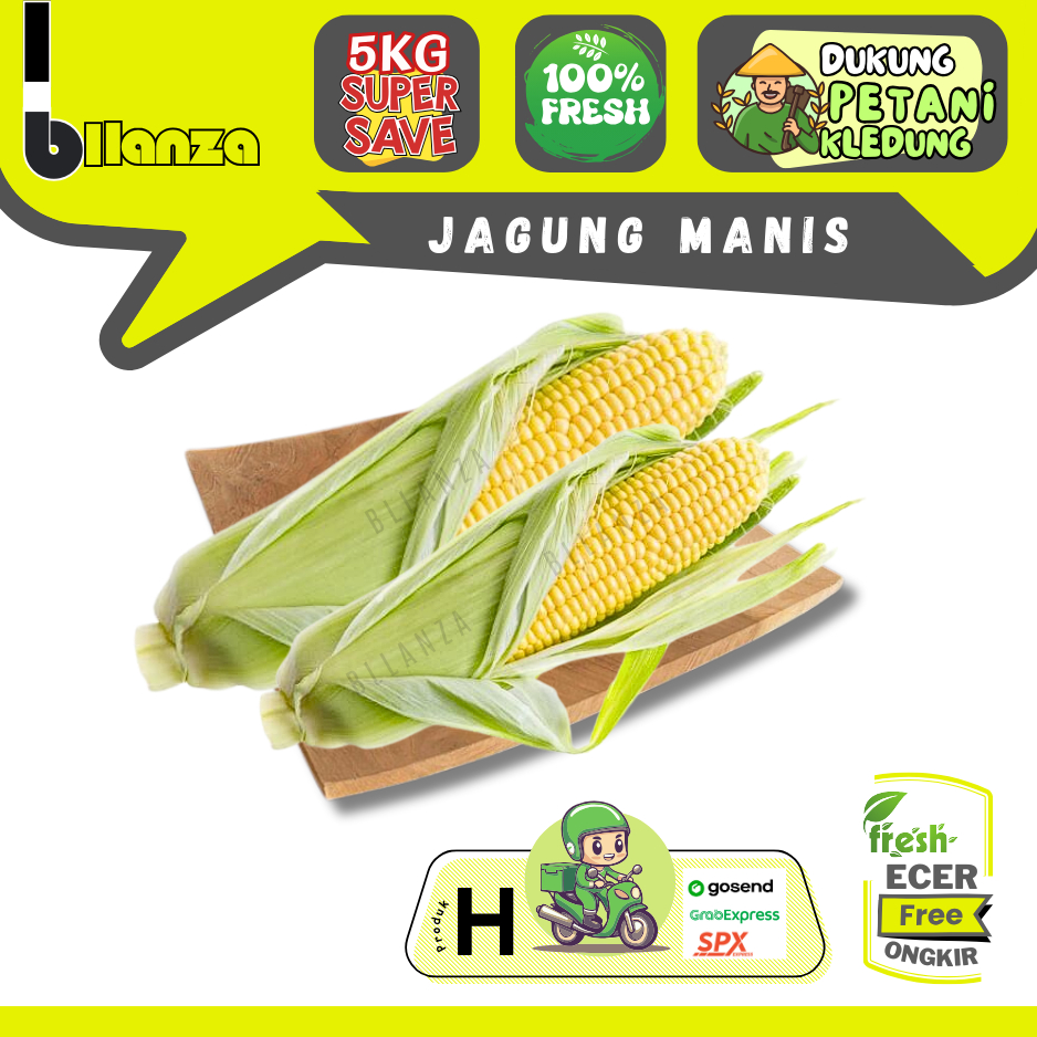 

Bllanza | Jagung Manis Daun — Sahabat Makan Sayur ECER (H)
