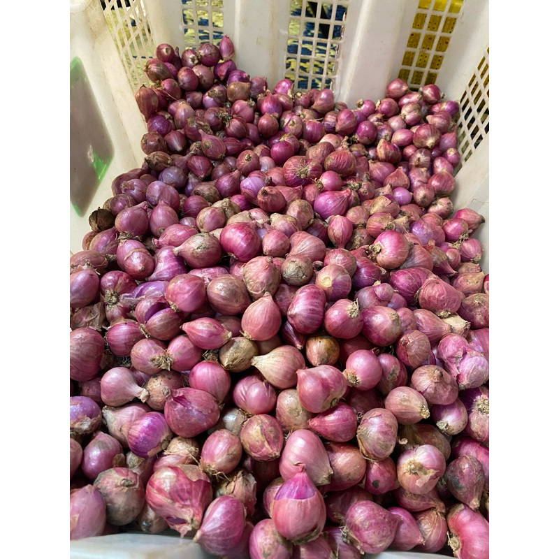 

Bawang merah ukuran tanggung 500 gram
