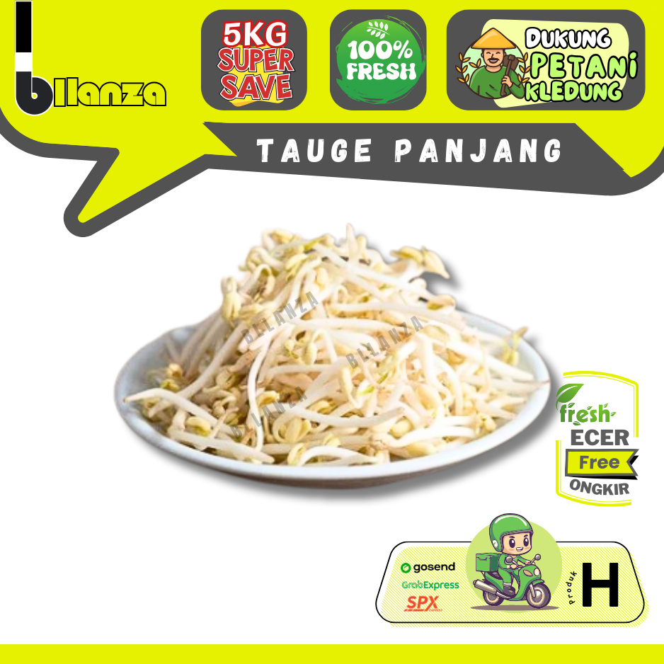 

Bllanza | Tauge Panjang / Kecambah — Sahabat Makan Sayur ECER (H)