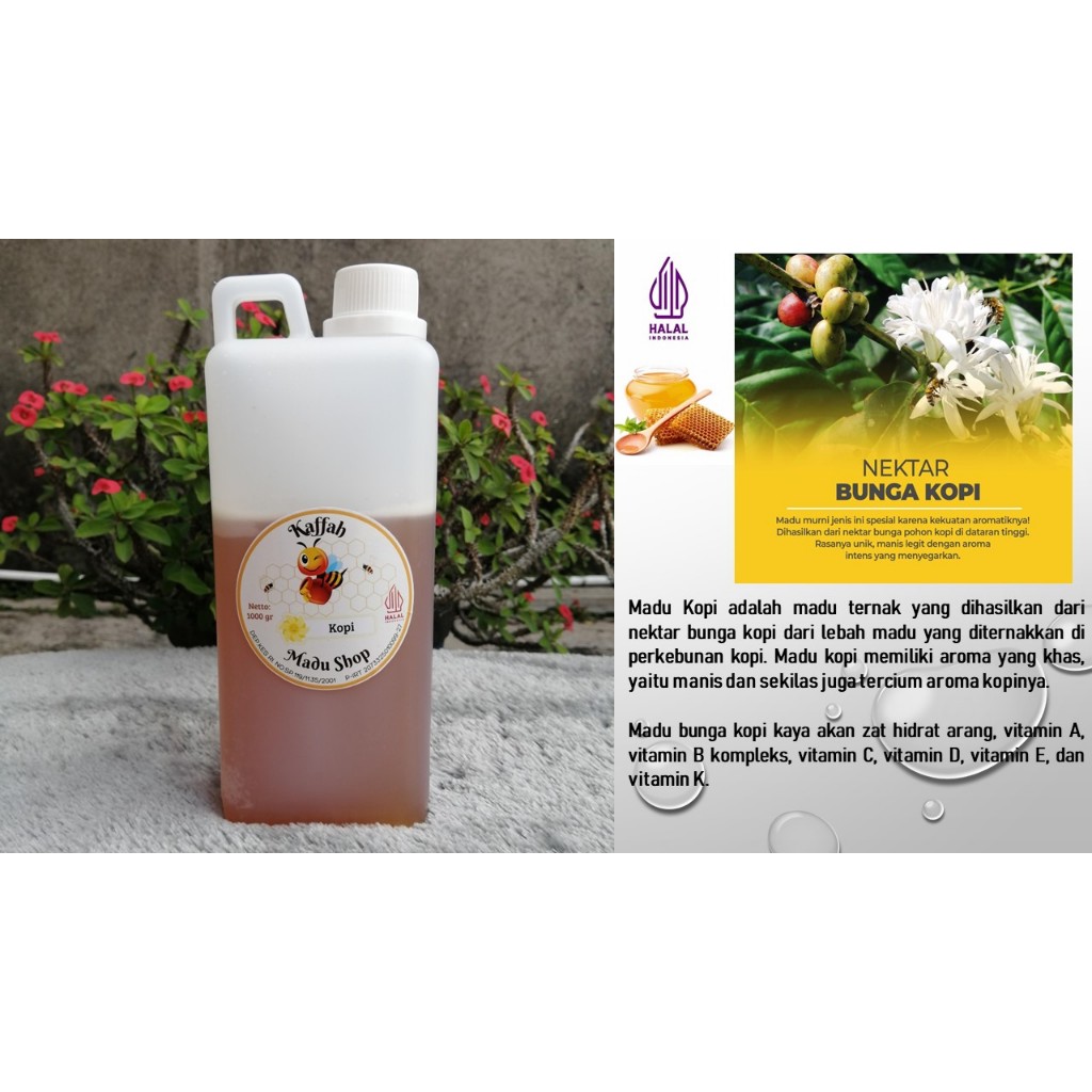 

Madu Asli Nektar Bunga Kopi/Madu Murni Bunga Kopi 1Kg