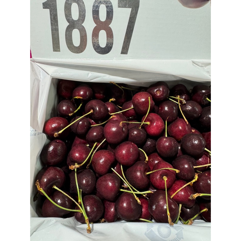

TASMANIAN CHERRIES 1887 size 30/32 cherry australia chery ausi manis garing biji kecil