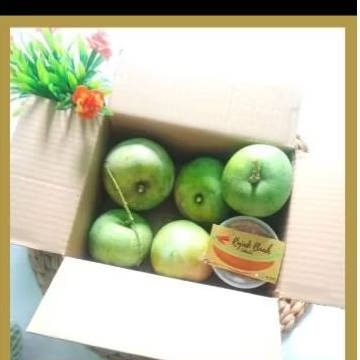 

paket rujak mangga 1kg (mangga muda)