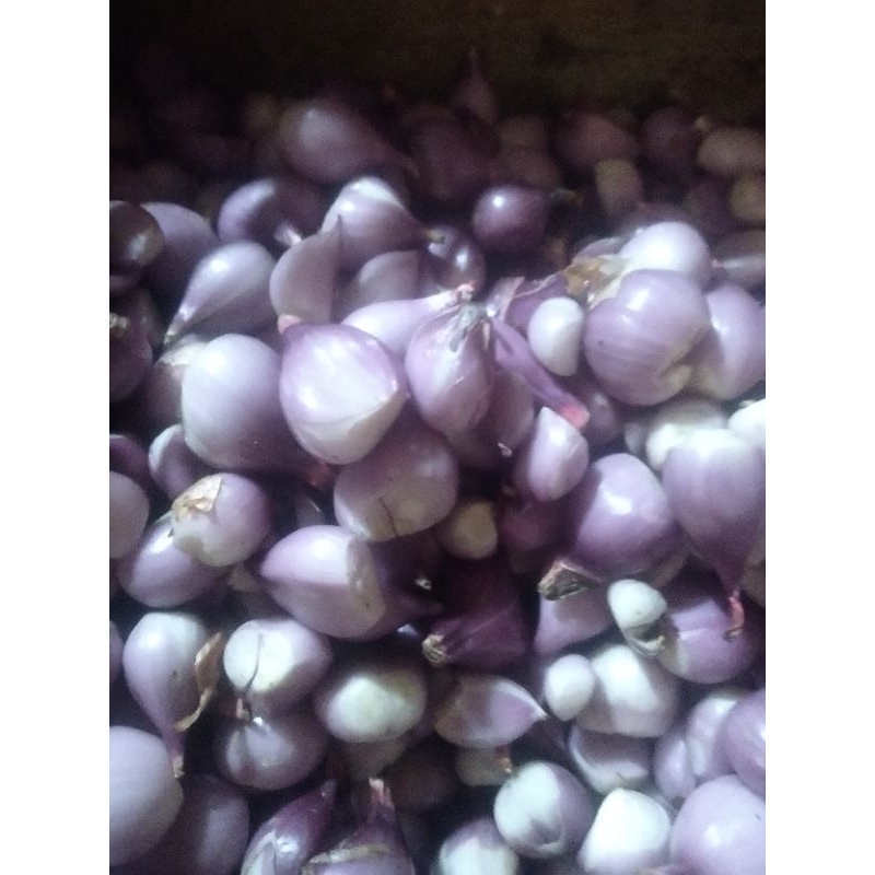 

bawang merah kupas 1kg