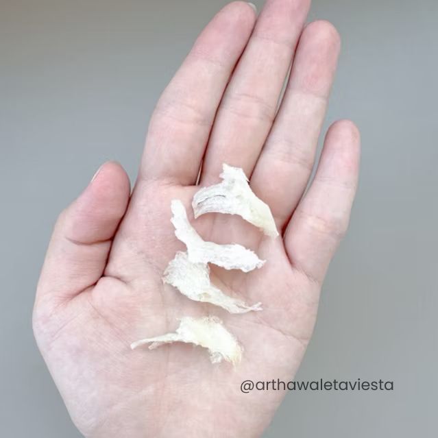 

Forcysn Sarang Burung Walet Kakian 1Gr - Yanwo / Bird Nest /