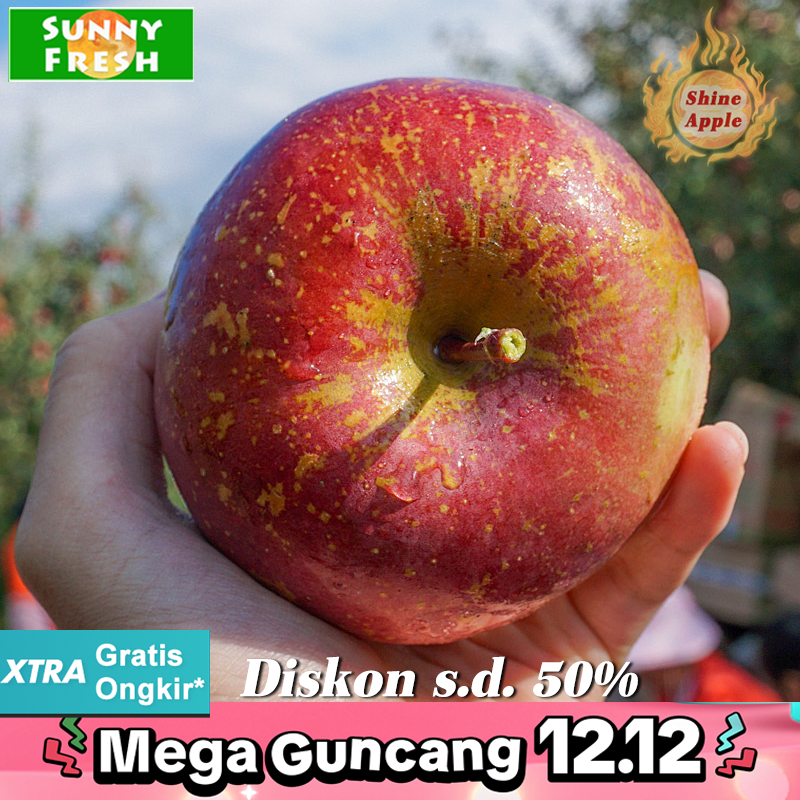 

Promo cuci gudang Apel highland fuji
