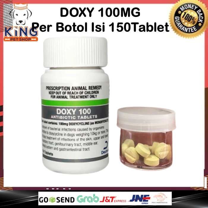 Antibiotik Tablet untuk Kucing dan Anjing 100 mg 150 Tablet