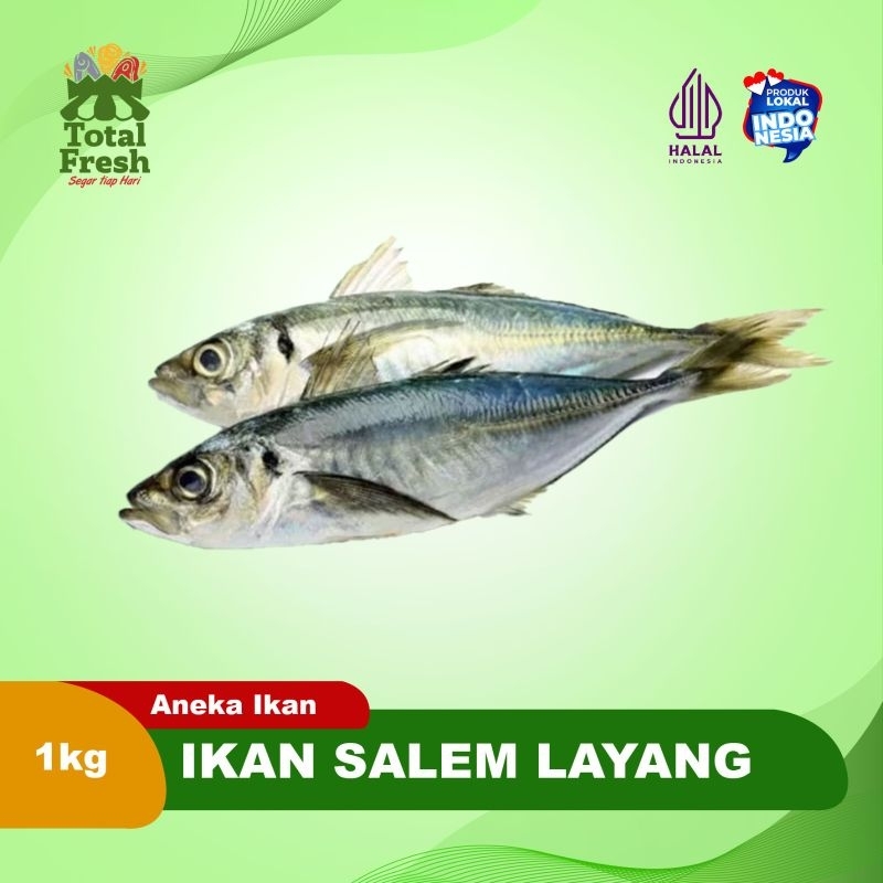 

Ikan Salem Layang [1Kg]