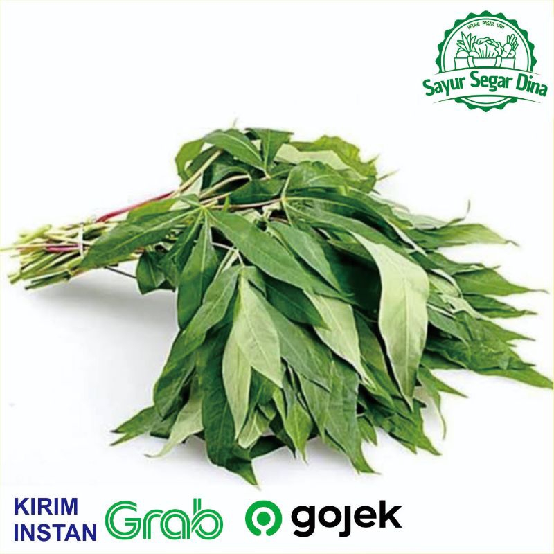 

Sayur Daun Singkong Segar /Ikat