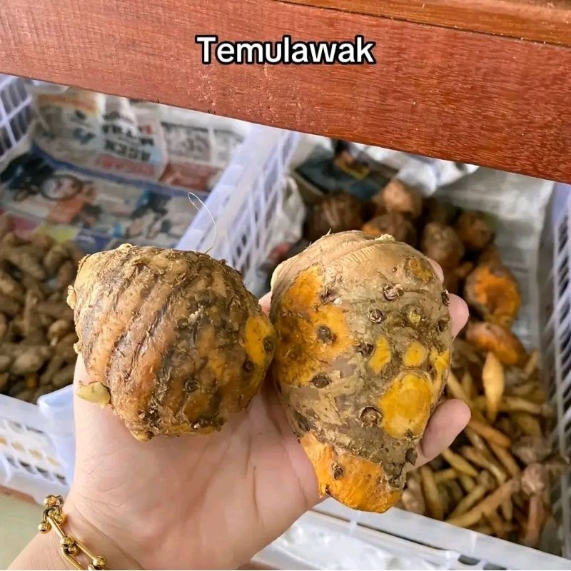 

TEMULAWAK HERBAL FRES SEGAR 1KG
