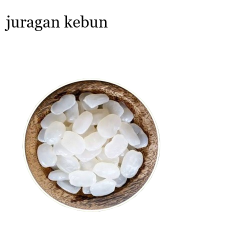 

1 kilo kolang kaling / caruluk bahan manisan dll kwalitas impor