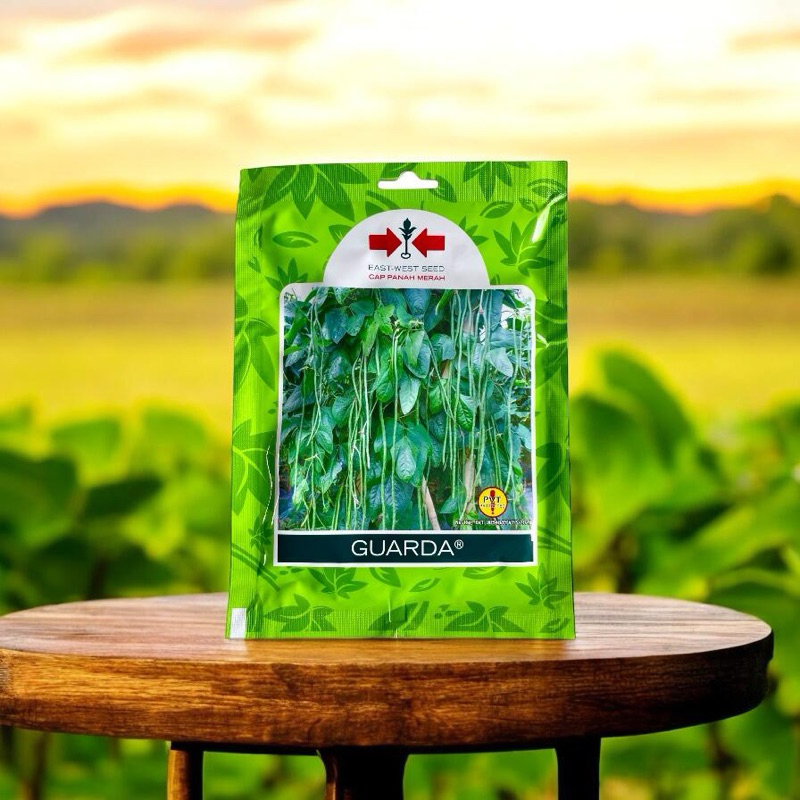 BENIH KACANG PANJANG GUARDA, BIBIT KACANG PANJANG UNGGULAN, CAP PANAH MERAH