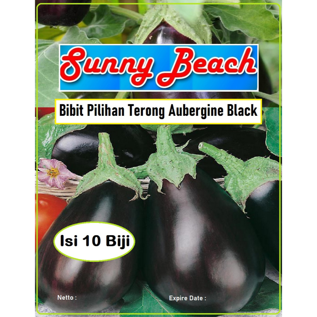 Bibit Pilihan Terong Aubergine Black | Biji Benih Terong Hitam Aubergine