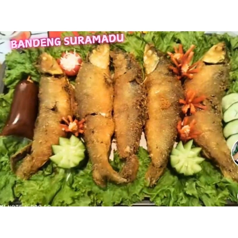 

Bandeng Presto khas suramadu isi 5 ekor