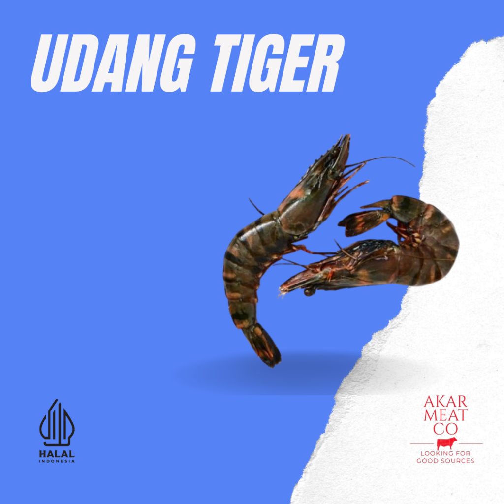 

Udang Pancet Tiger 500 gr