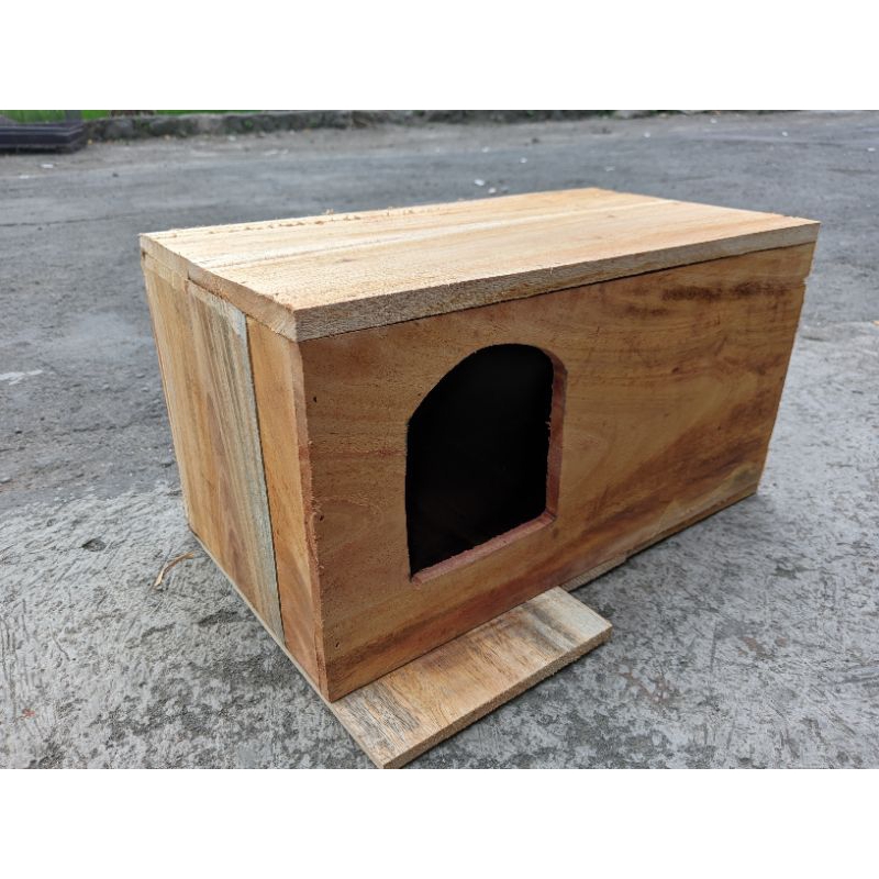 Glodok Burung Falk , jalak, Murai