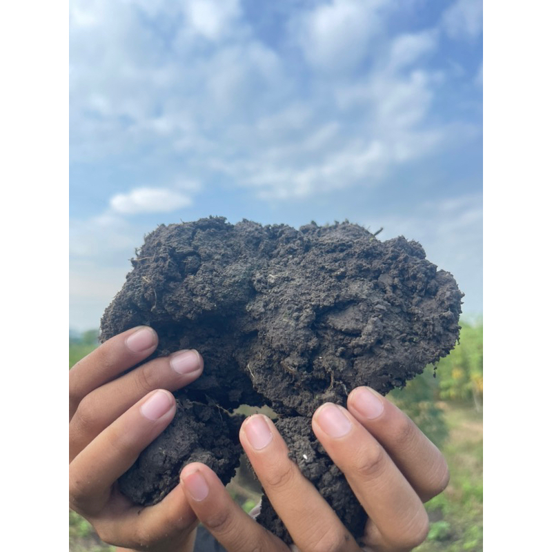 TANAH LIAT KEBUN 1kg | TANAH LIAT PRAKARYA | TANAH LIAT | LEMPUNG KEBUN