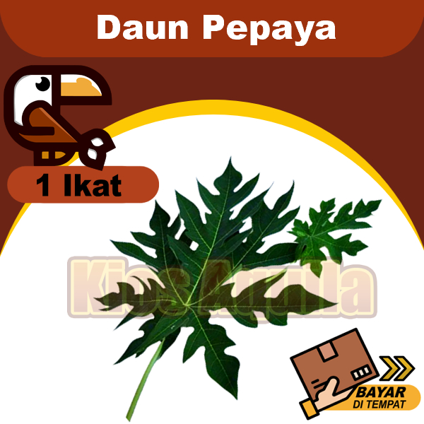 

Daun Pepaya Lokal Pahit 1 Ikat Petik Dadakan Berat Kurang Lebih 60 Gram Untuk Sayur Buntil Lalapan Rebus Seupan Ecoprint