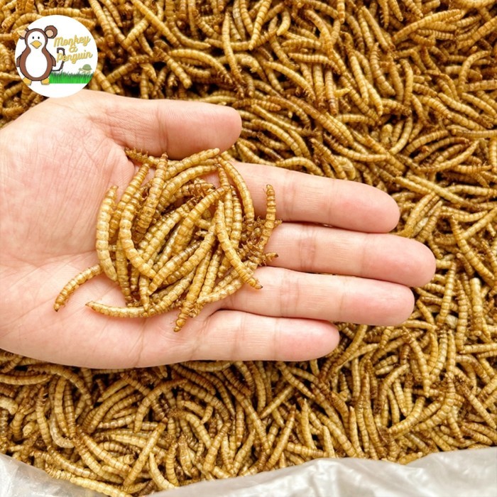 DRIED MEALWORM/ULAT HONGKONG KERING 1KG/CAMILAN SG HAMSTER ARWANA BIRD