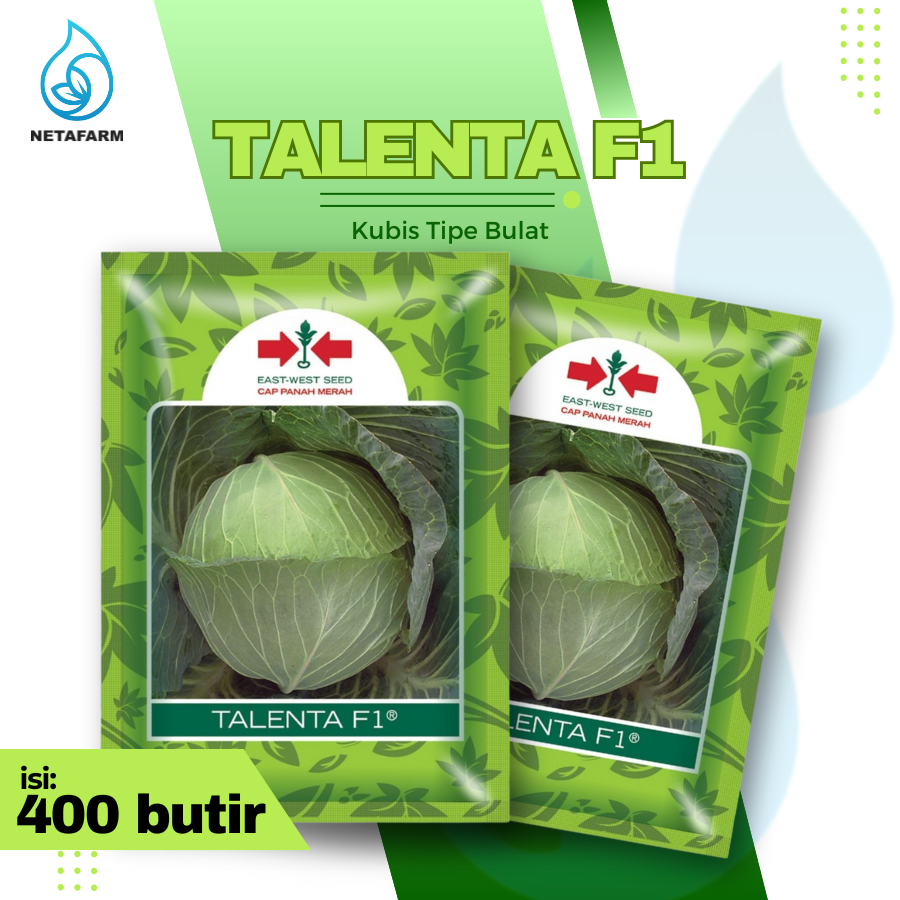 Benih Biji Bibit Kubis TALENTA F1 Cap Panah Merah