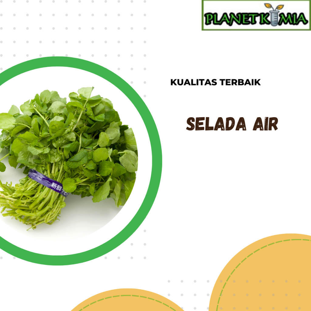 

ekstrak, selada air best product