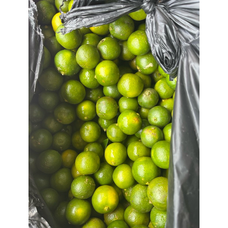 

JERUK SONKIT 1kg