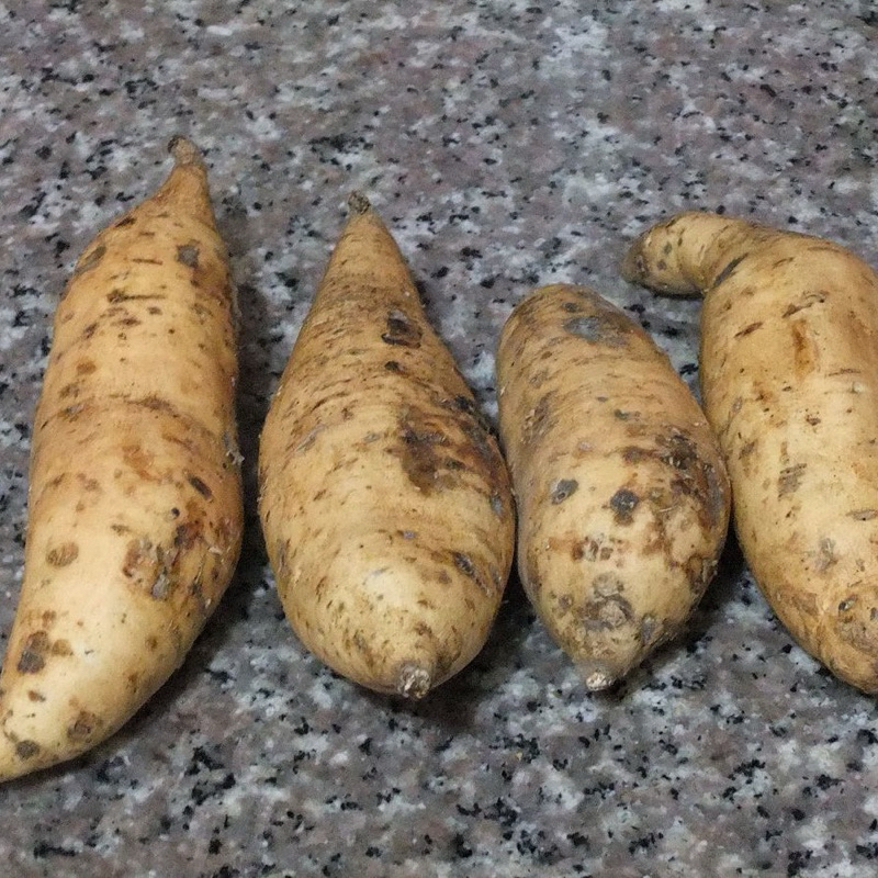 

Ubi cilembu / ubi putih / sweet potato
