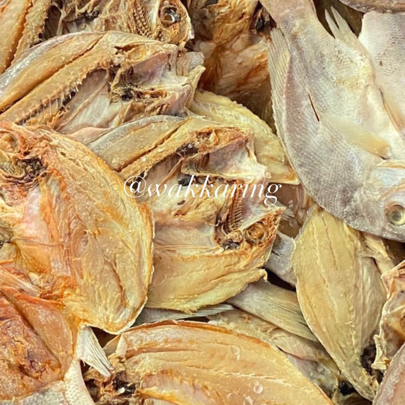 

IKAN ASIN BAMBANGAN ATAU KAKAP MERAH