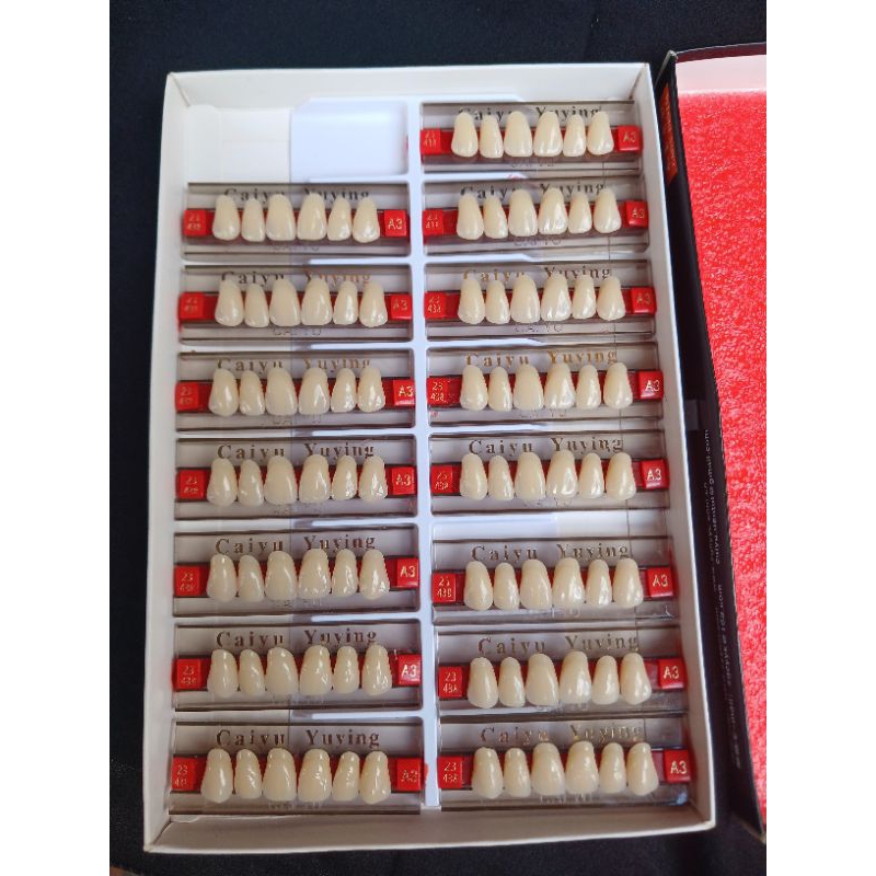 gigi palsu depan atas anterior A3