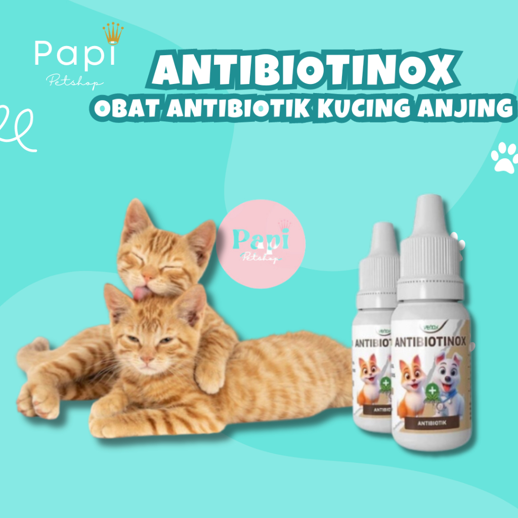 Antibiotinox Obat Anti Jamur Hewan Antibiotik Venox Mencegah Virus Jamur Bakteri Kucing Anjing Virus