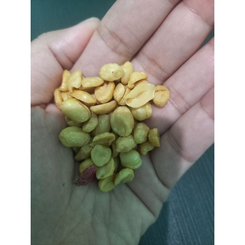 KACANG TOJIN KACANG GORENG KACANG BAWANG KACANG GURIH ASIN RENYAH KHAS MINANG PADANG OLEH OLEH PADAN