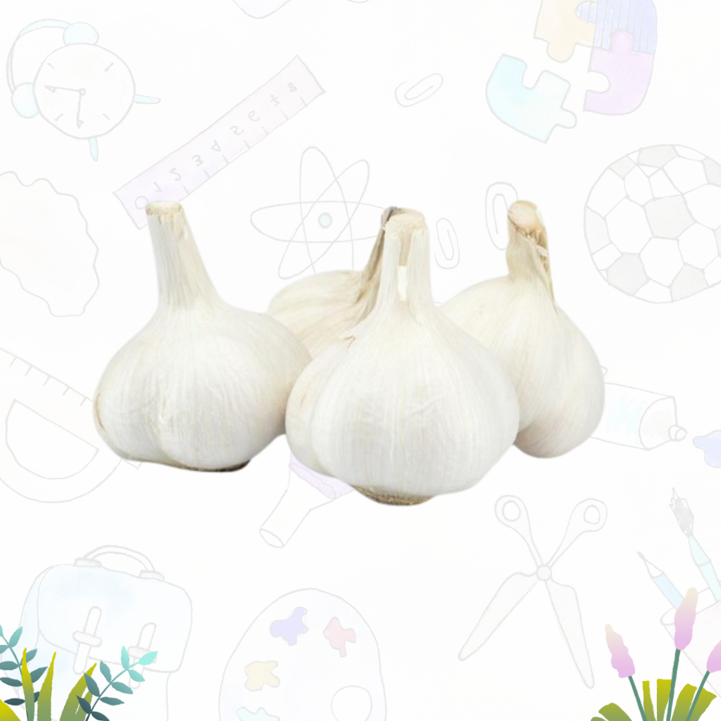 

Bawang Putih Kating Murah 250gr