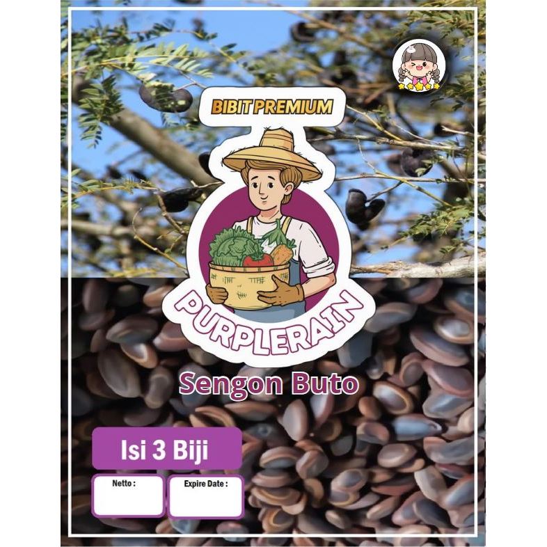 Bibit Premium Sengon Buto |Biji Benih Sengon Buto | Solobium