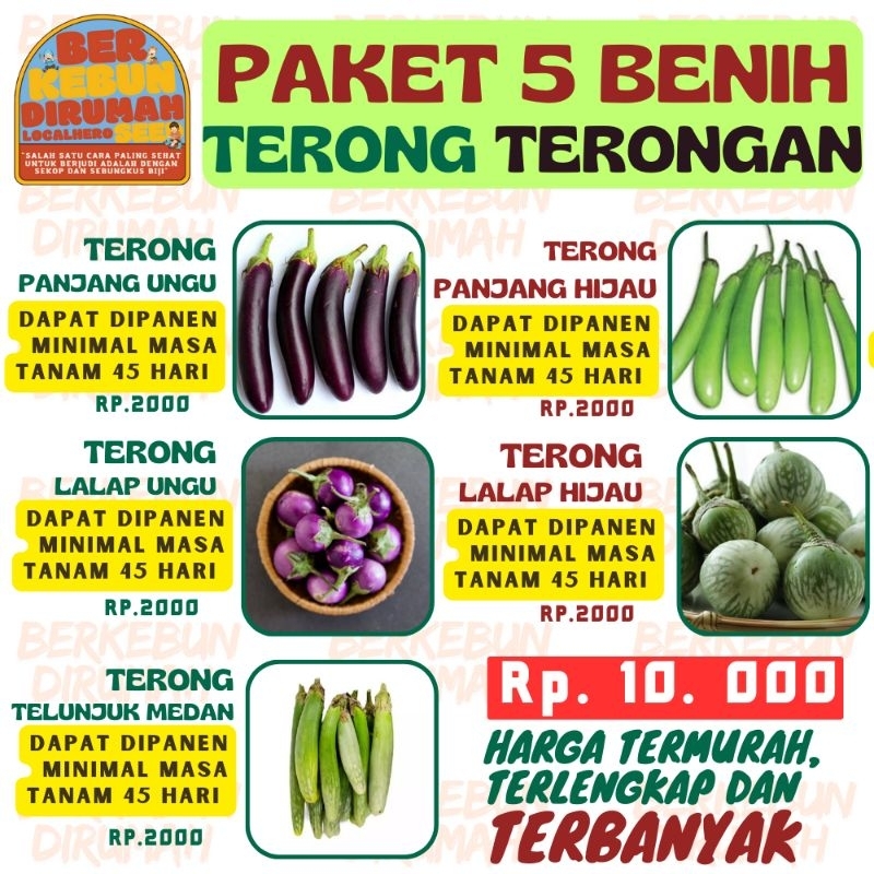Paket 5 Benih Terong Terongan Terong Ungu Terong Hijau Telunjuk Terong putih Lalap ungu Lalap Hijau