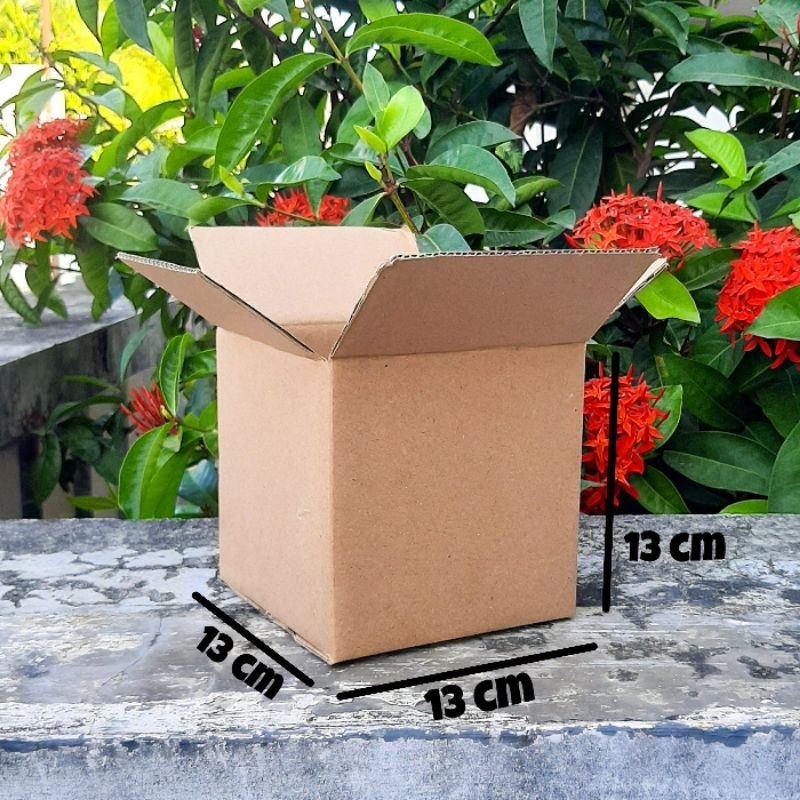 

Kardus 13x13x13 cm Polos | Box Packing Tebal dan Kokoh