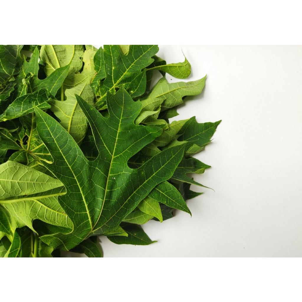 

Daun Pepaya 1Kg