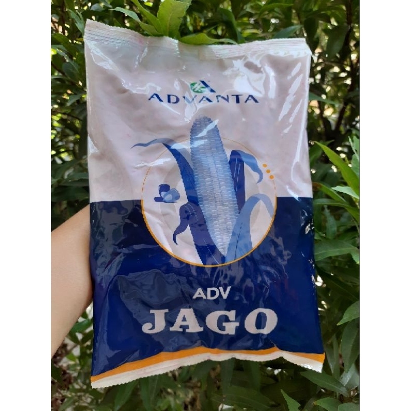 Benih bibit jagung advanta ADV JAGO 1 kg original